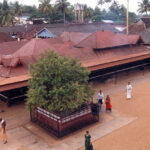 Chottanikkara_Bhagavathy_Temple,_Ernakulam-02012020163526